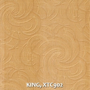 KING, XTC902