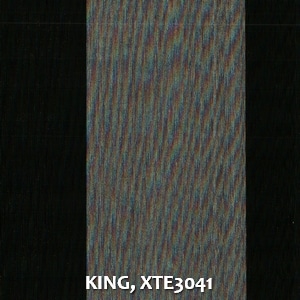 KING, XTE3041