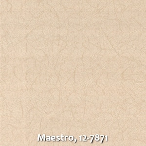 Maestro, 12-7871