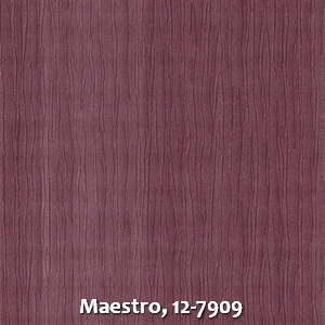Maestro, 12-7909