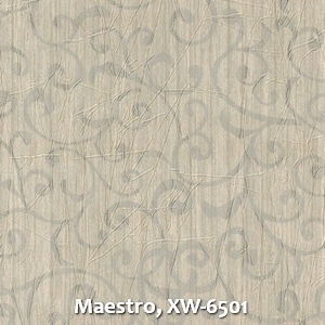 Maestro, XW-6501