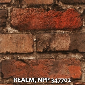 REALM, NPP 347702