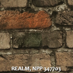 REALM, NPP 347703