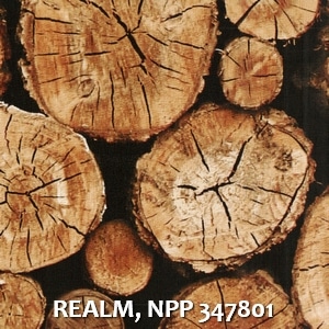 REALM, NPP 347801