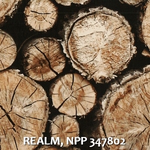 REALM, NPP 347802