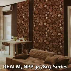REALM, NPP 347803 Series