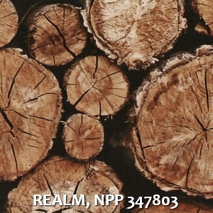 REALM, NPP 347803