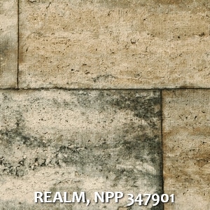 REALM, NPP 347901