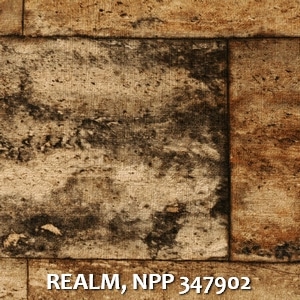 REALM, NPP 347902