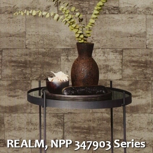 REALM, NPP 347903 Series