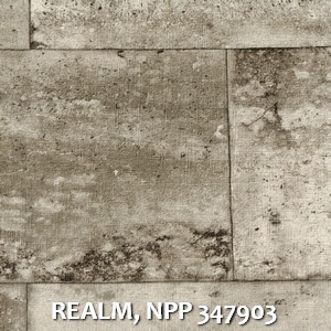 REALM, NPP 347903