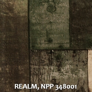 REALM, NPP 348001