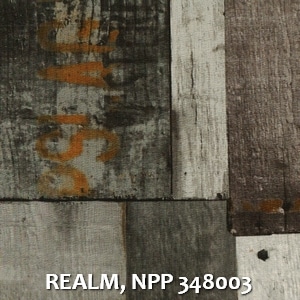 REALM, NPP 348003