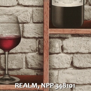 REALM, NPP 348101