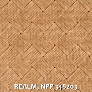 REALM, NPP 348203