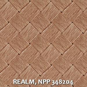 REALM, NPP 348204