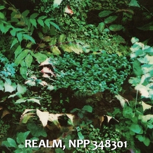REALM, NPP 348301