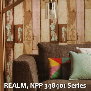 REALM, NPP 348401 Series