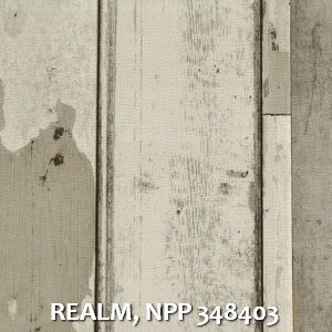 REALM, NPP 348403