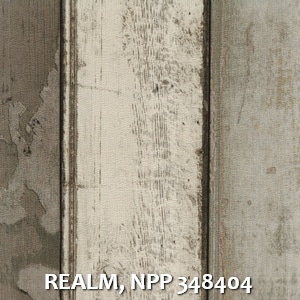 REALM, NPP 348404
