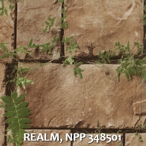 REALM, NPP 348501