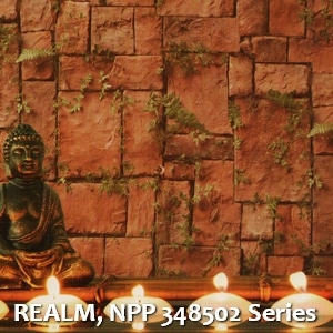 REALM, NPP 348502 Series