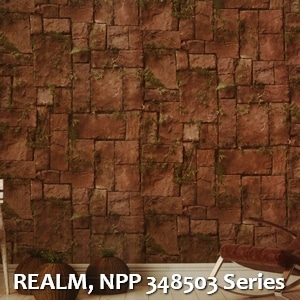 REALM, NPP 348503 Series