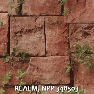 REALM, NPP 348503