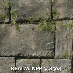 REALM, NPP 348504