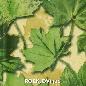 ROCK, DV1420