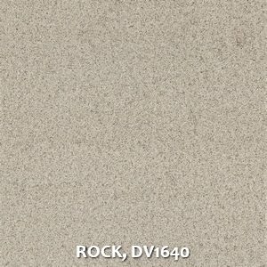 ROCK, DV1640