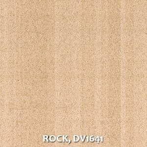 ROCK, DV1641
