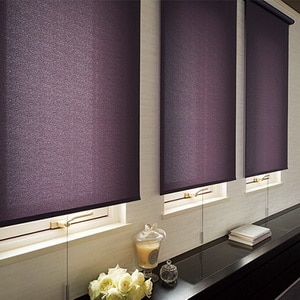 Roller Blind Platinum - Spring 36 Oil Break