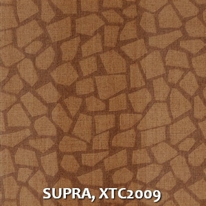SUPRA, XTC2009