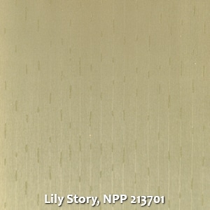 Lily Story, NPP 213701