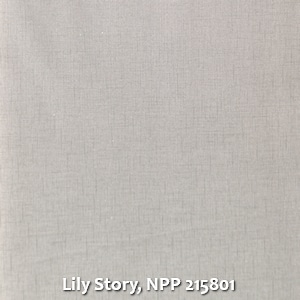 Lily Story, NPP 215801