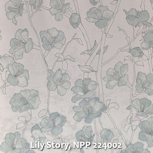 Lily Story, NPP 224002