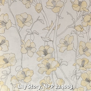 Lily Story, NPP 224003