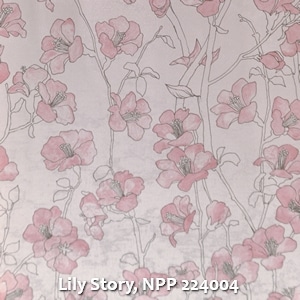 Lily Story, NPP 224004