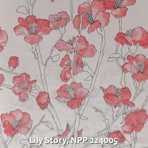 Lily Story, NPP 224005