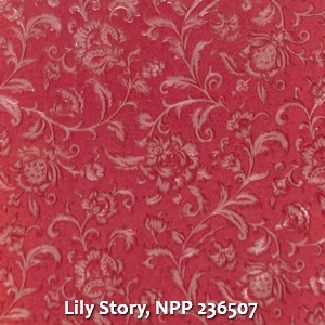 Lily Story, NPP 236507