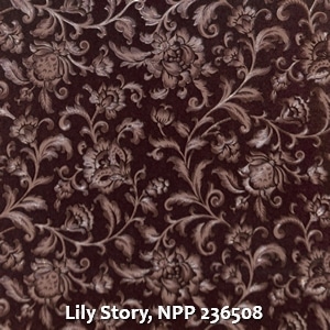 Lily Story, NPP 236508