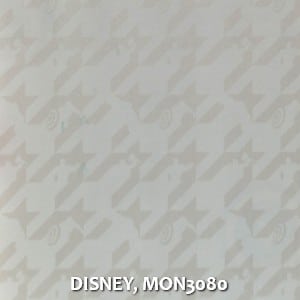 DISNEY, MON3080