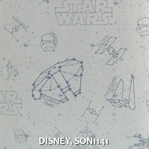 DISNEY, SON1141