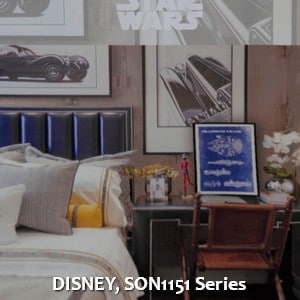 DISNEY, SON1151 Series