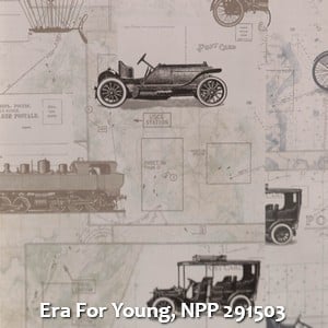 Era For Young, NPP 291503