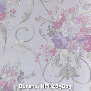Burano, NPH489803