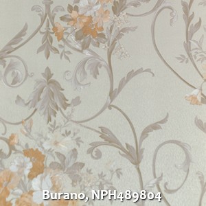 Burano, NPH489804