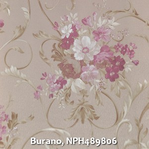 Burano, NPH489806