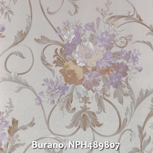 Burano, NPH489807